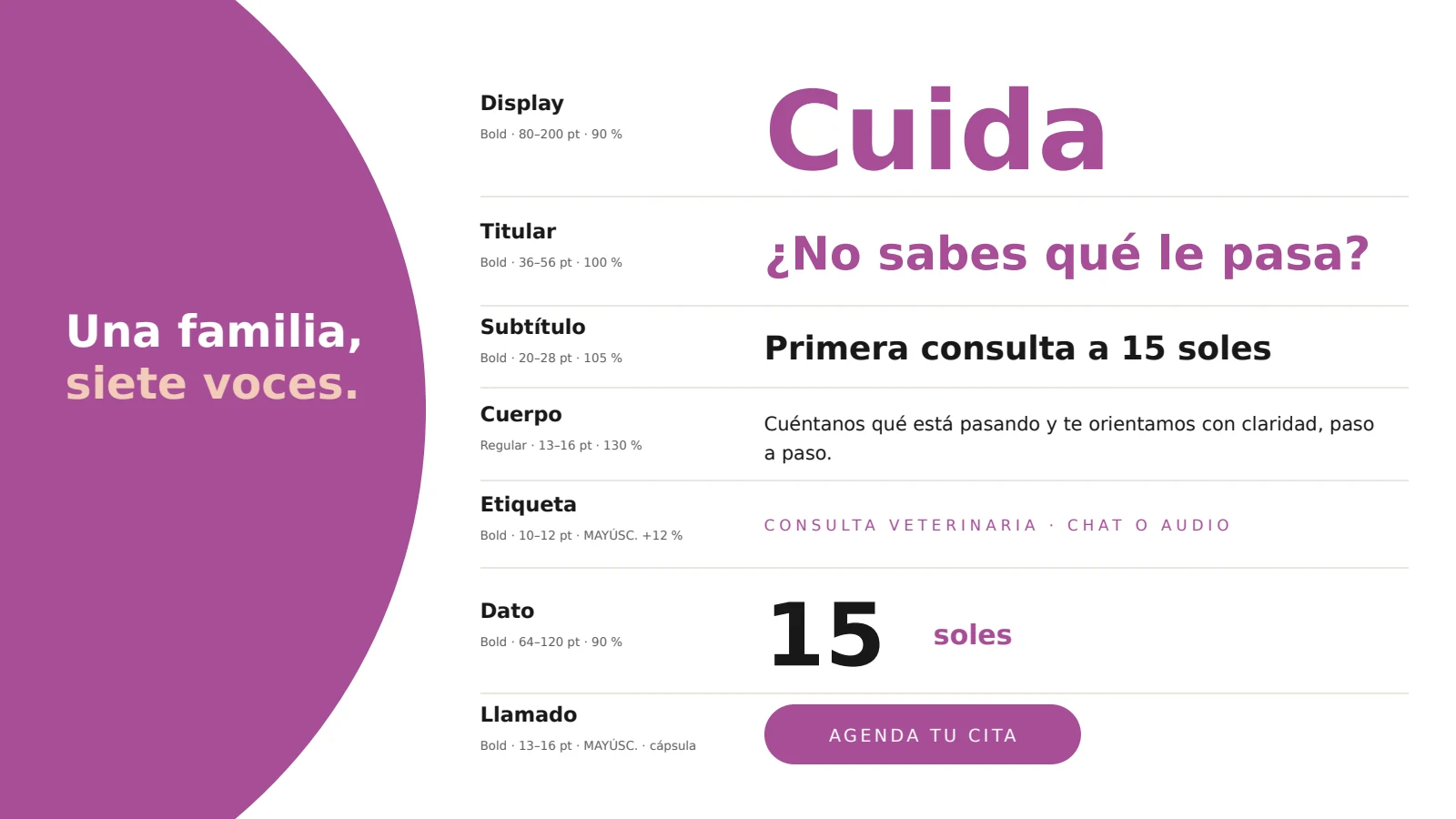 Miniatura de la página 19